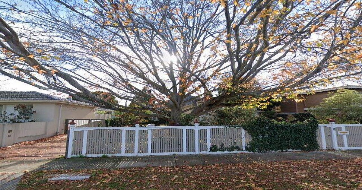 Pet-Friendly Caulfield North (2026) — Dog Parks, Cafes & Vets