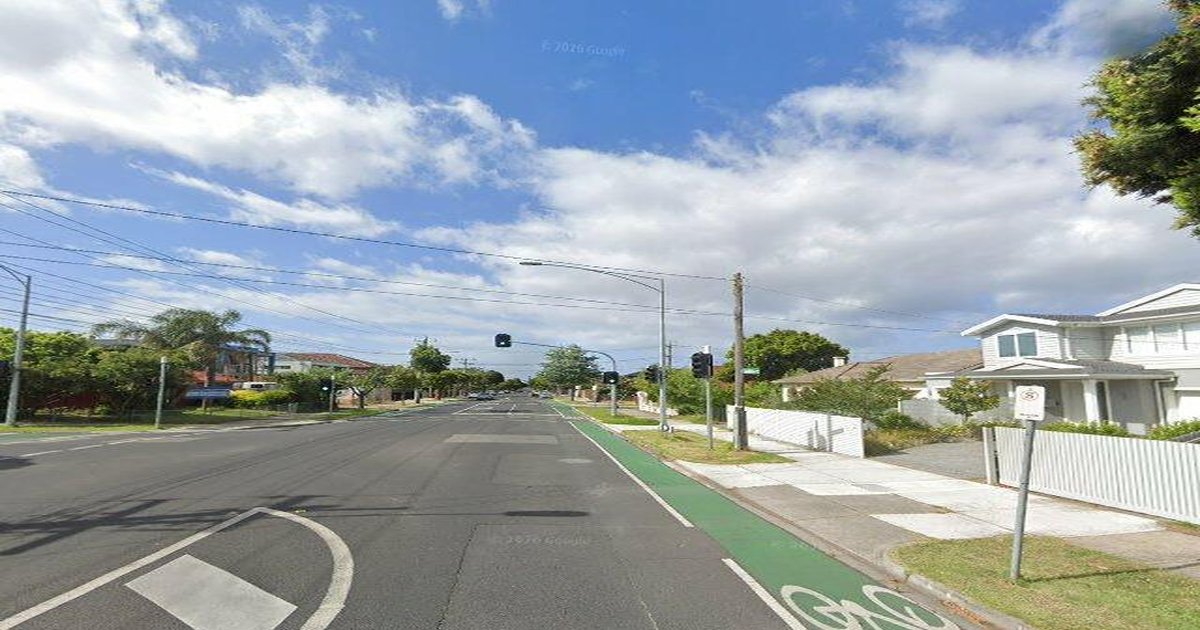 Pet-Friendly Caulfield South (2026) — Dog Parks, Cafes & Vets