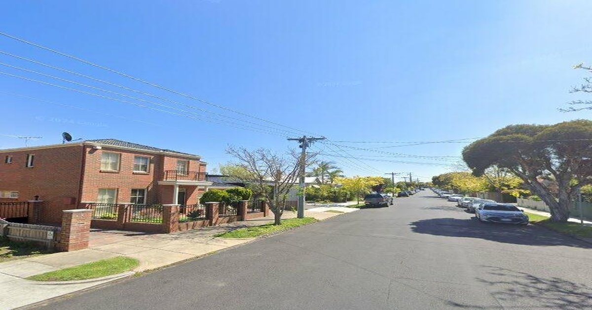 Best Dog Friendly Guide in Caulfield Melbourne — 2026 Guide