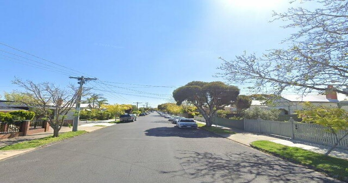 Pet-Friendly Caulfield (2026) — Dog Parks, Cafes & Vets