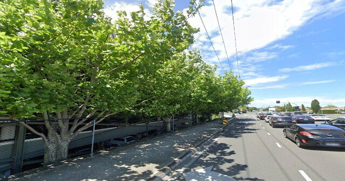 Best Japanese Food in Chadstone — 2026 Guide