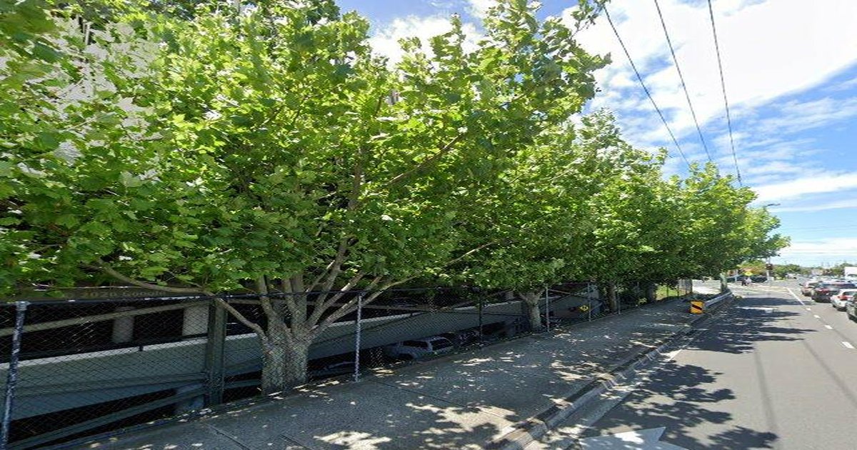 Best Pizza in Chadstone — 2026 Guide