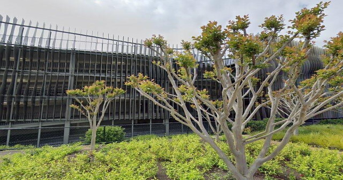 Healthcare in Chadstone — GPs, Specialists, Hospitals