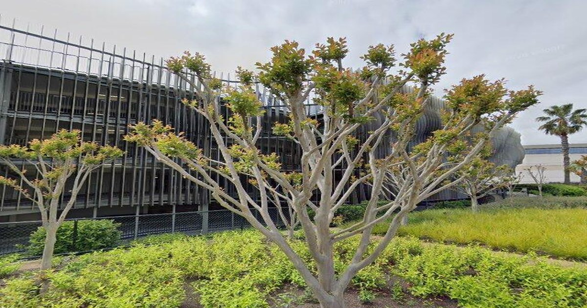 Chadstone — History and How It's Changed