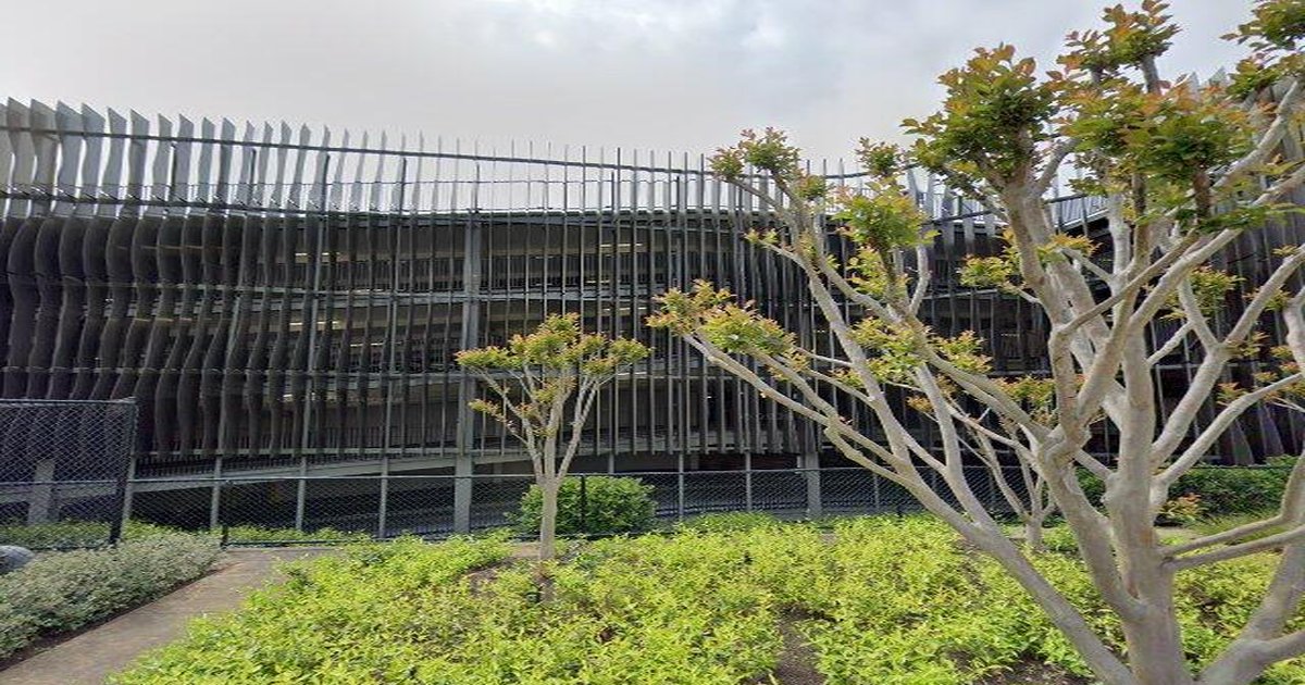 Sports Clubs in Chadstone — Join & Play