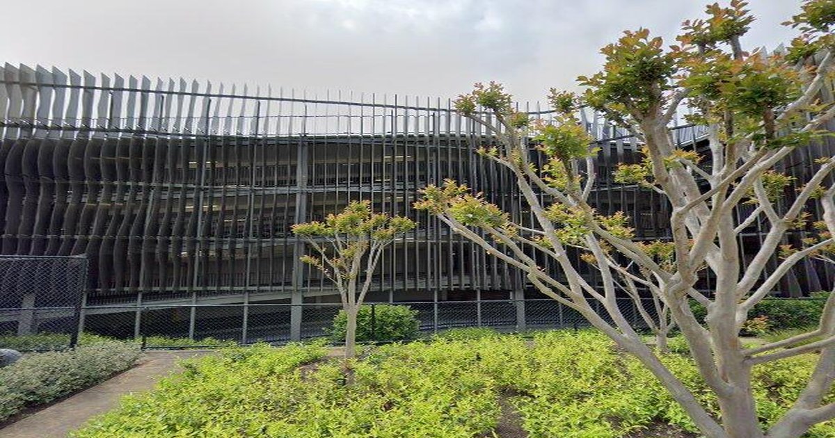 Chadstone Transport Guide (2026) — Trains, Trams, Buses