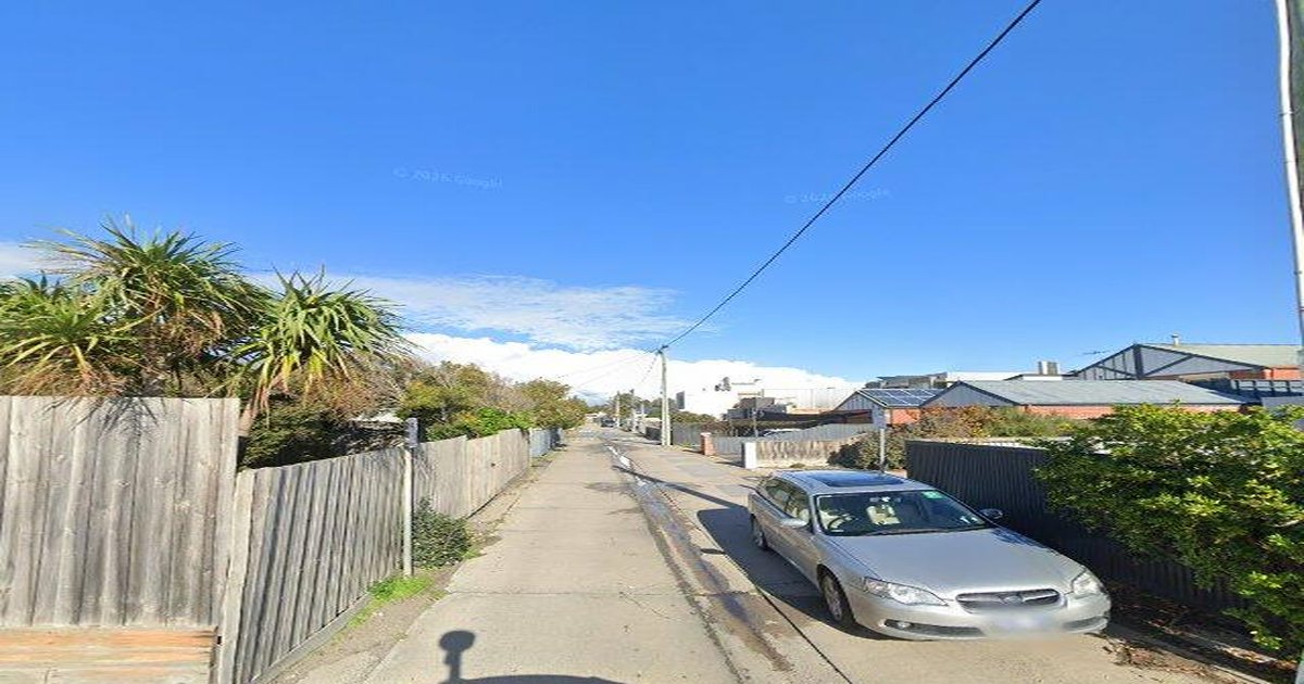 Best Dog Friendly Guide in Chelsea Melbourne — 2026 Guide