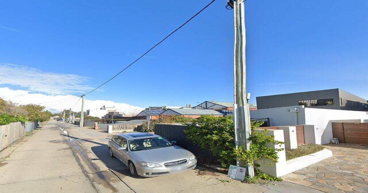 Pet-Friendly Chelsea (2026) — Dog Parks, Cafes & Vets