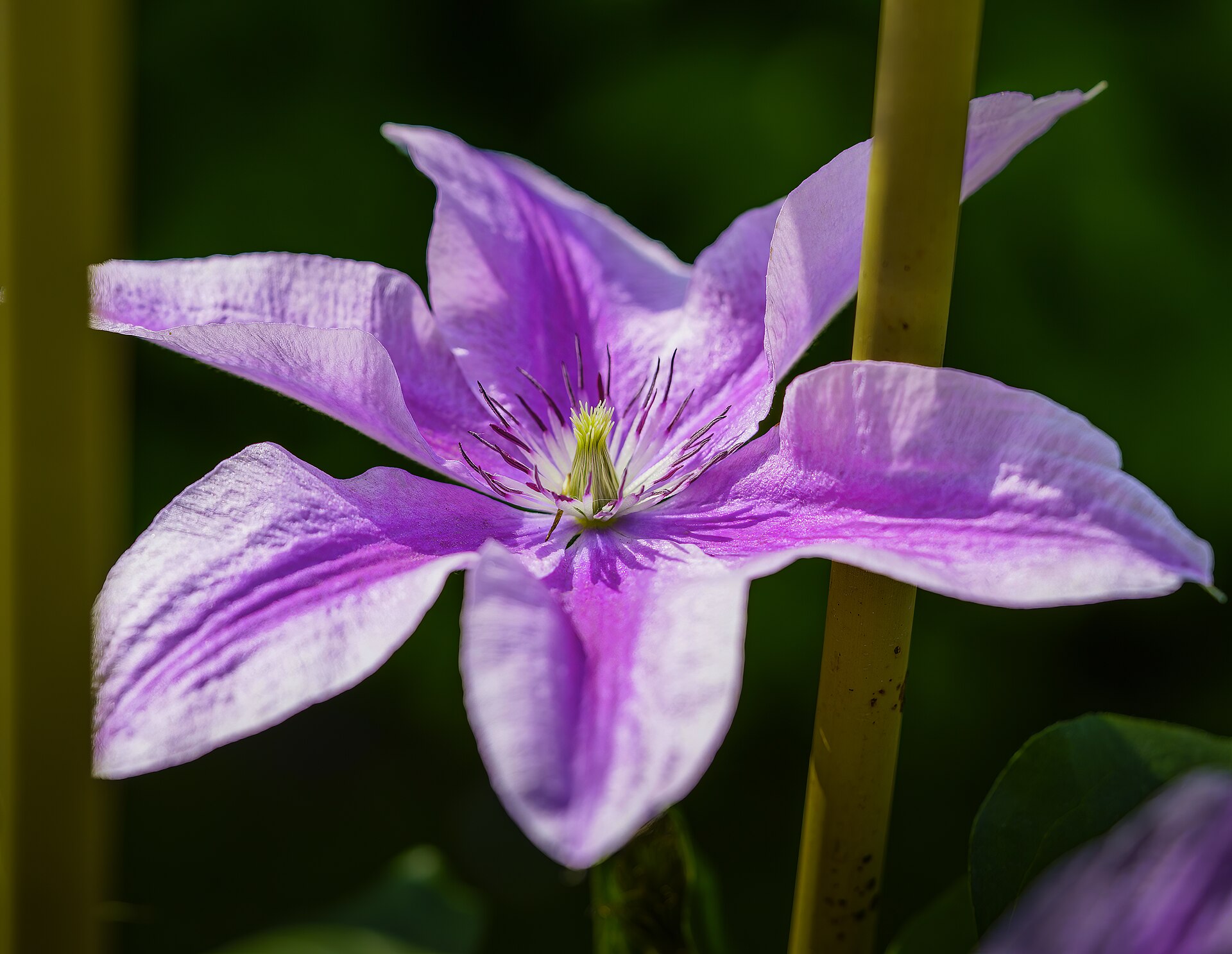 Property Price Predictions for Clematis: 2026, 2027, 2028