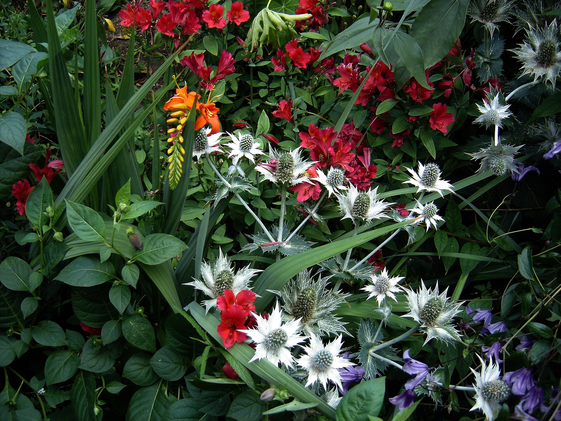 Clematis Renovation Guide 2026: Unrenovated Homes & Flip Potential