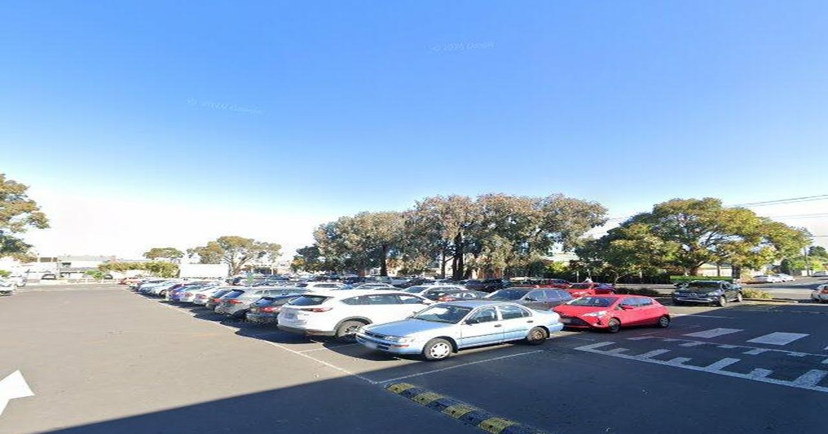 Coburg Council Services — Everything You Need