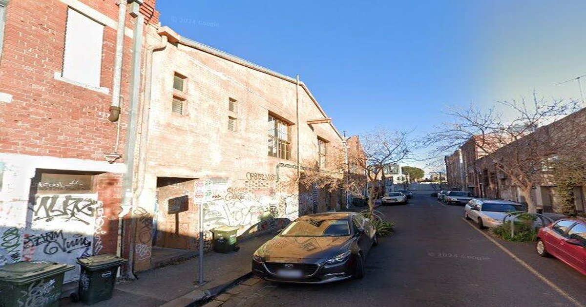 Best Dog Friendly Guide in Collingwood Melbourne — 2026 Guide