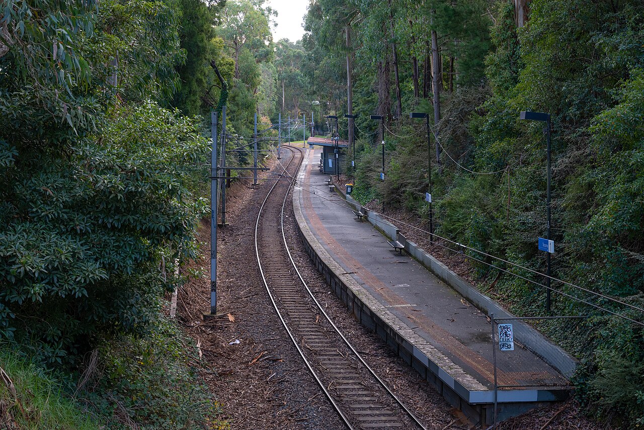 Tecoma train station platform in a forested cutting, seen from above