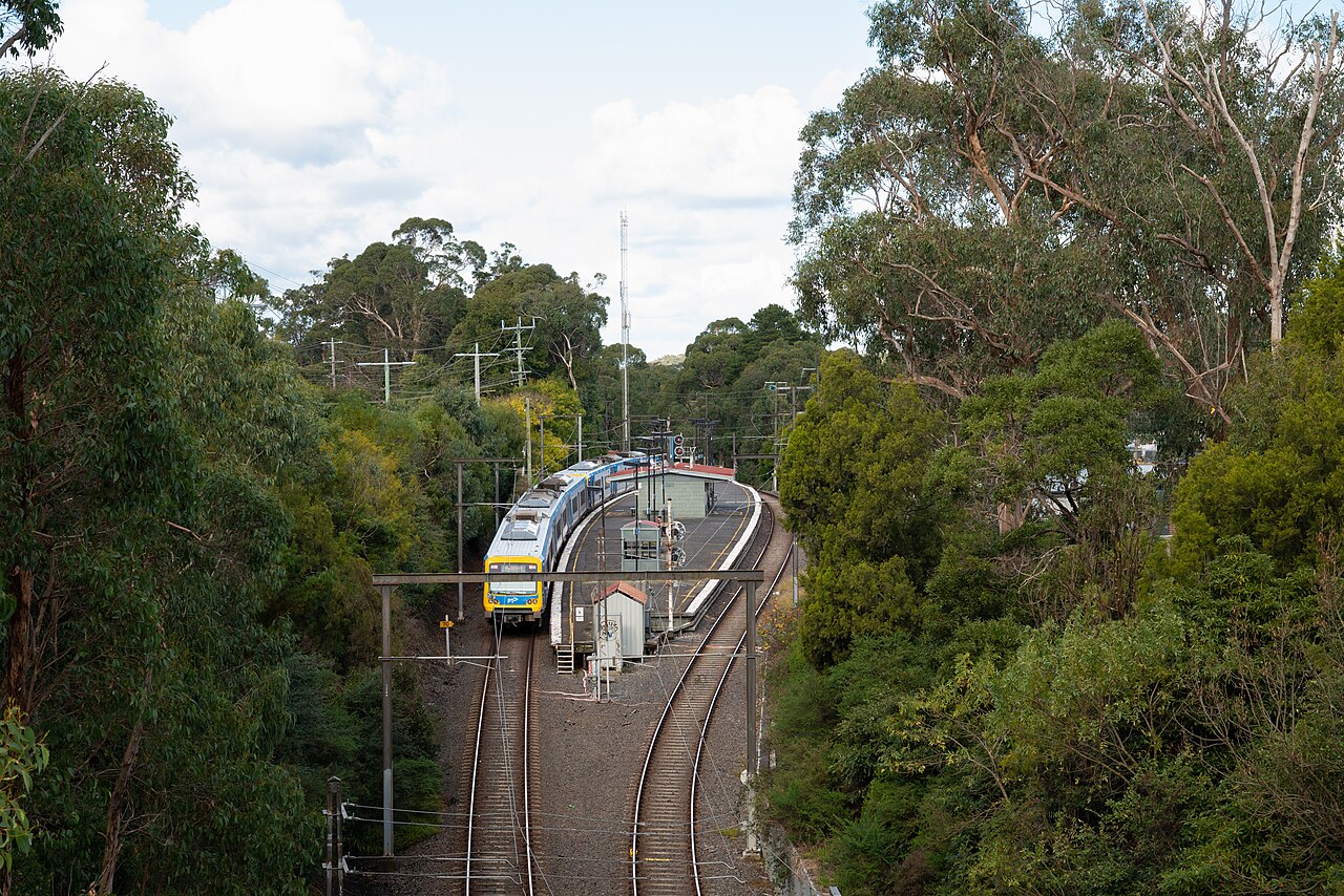 Upwey train station seen from above among trees