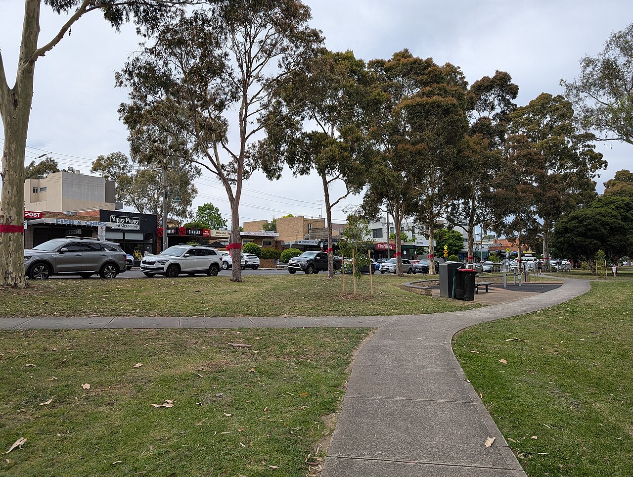 Aberdeen Road shops seen from the park in Macleod