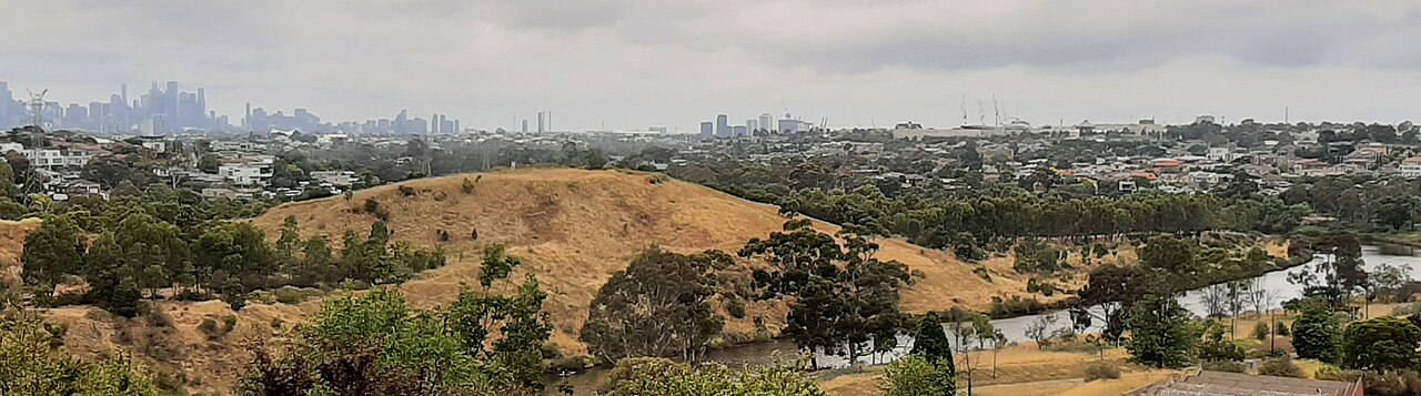 Dry grassy hills of Afton Street Conservation Reserve with city skyline