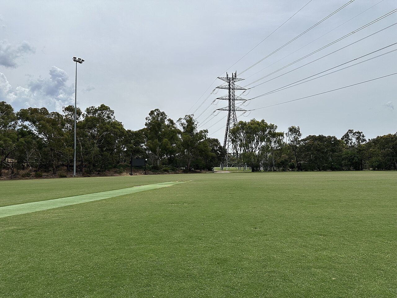 Grass field and trees at Basil Reserve