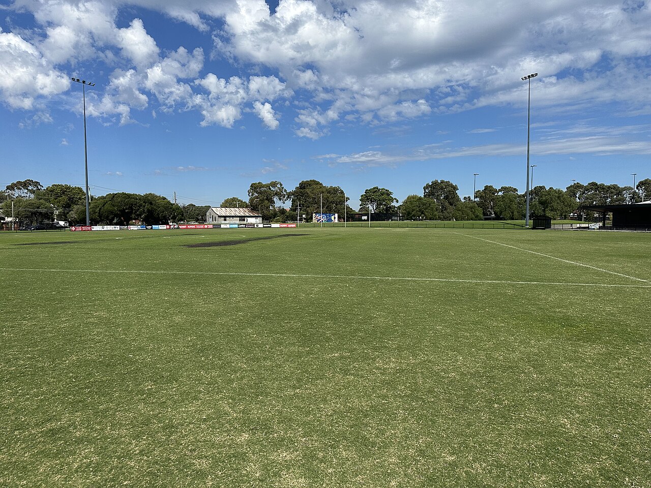 Wide playing field at Ben Kavanagh Reserve under a blue sky