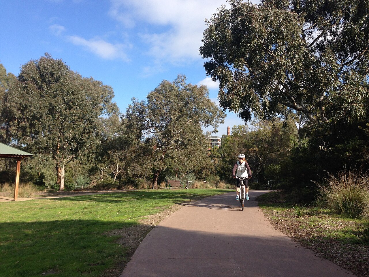 Yarra Trail path near Dights Falls with gum trees