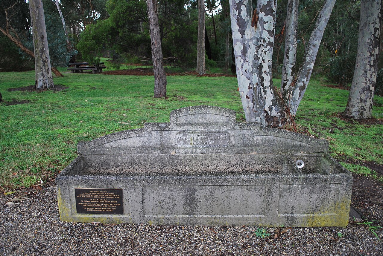 Old Bills horse trough beneath gum trees in Blackburn