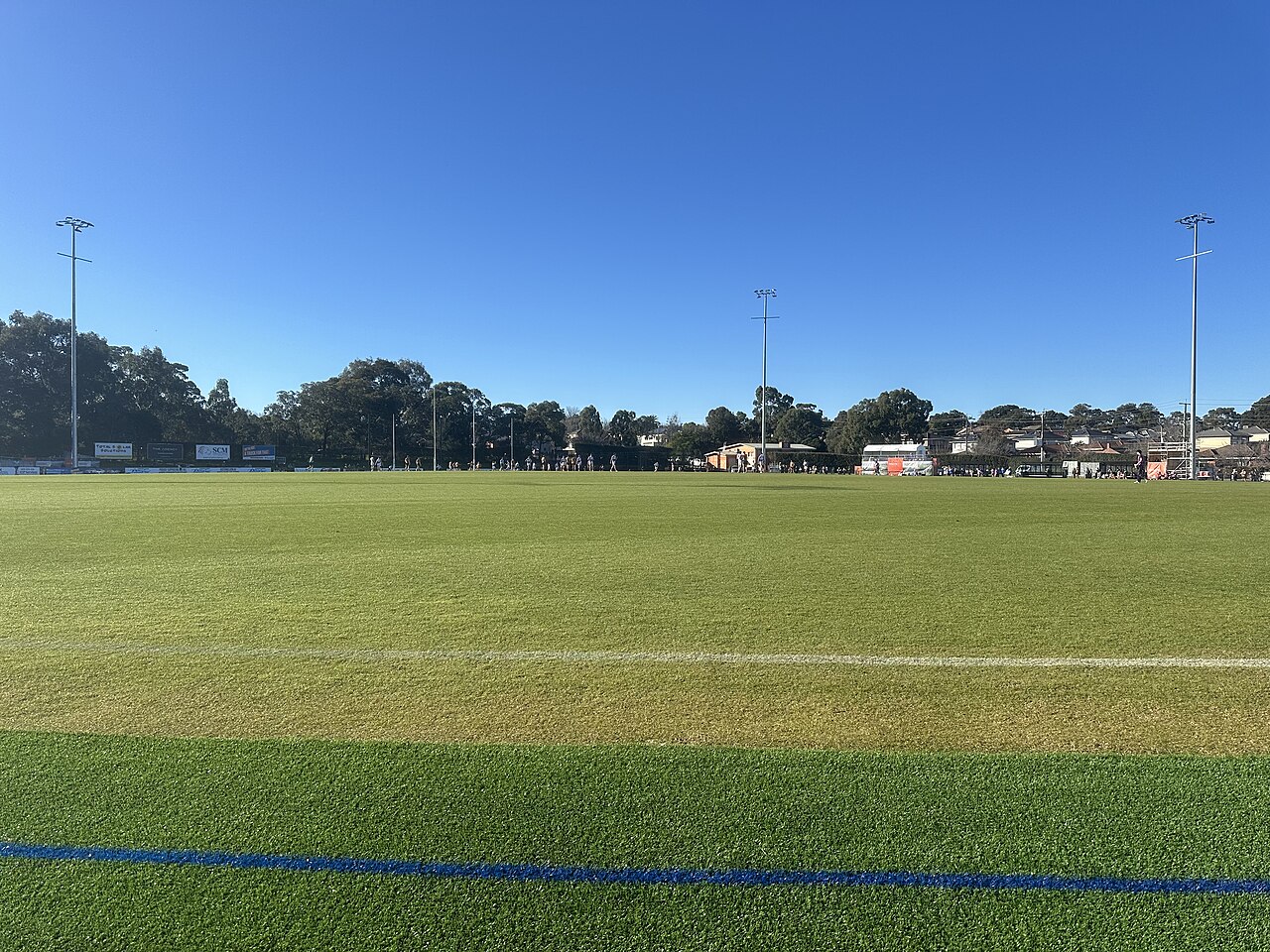 Playing field at Box Hill City Oval under a blue sky