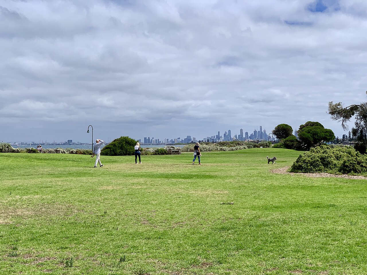 Brighton foreshore lawn with the city skyline beyond