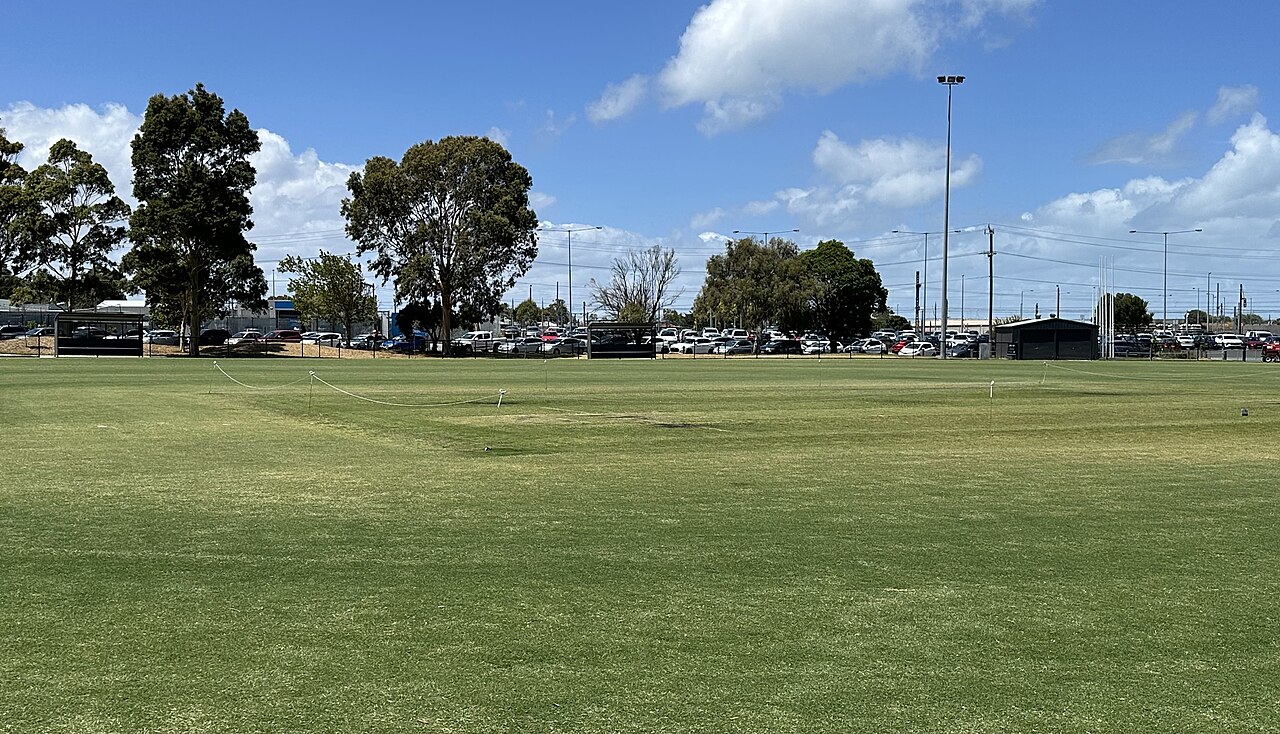 Grass oval at Bryan Martyn Oval
