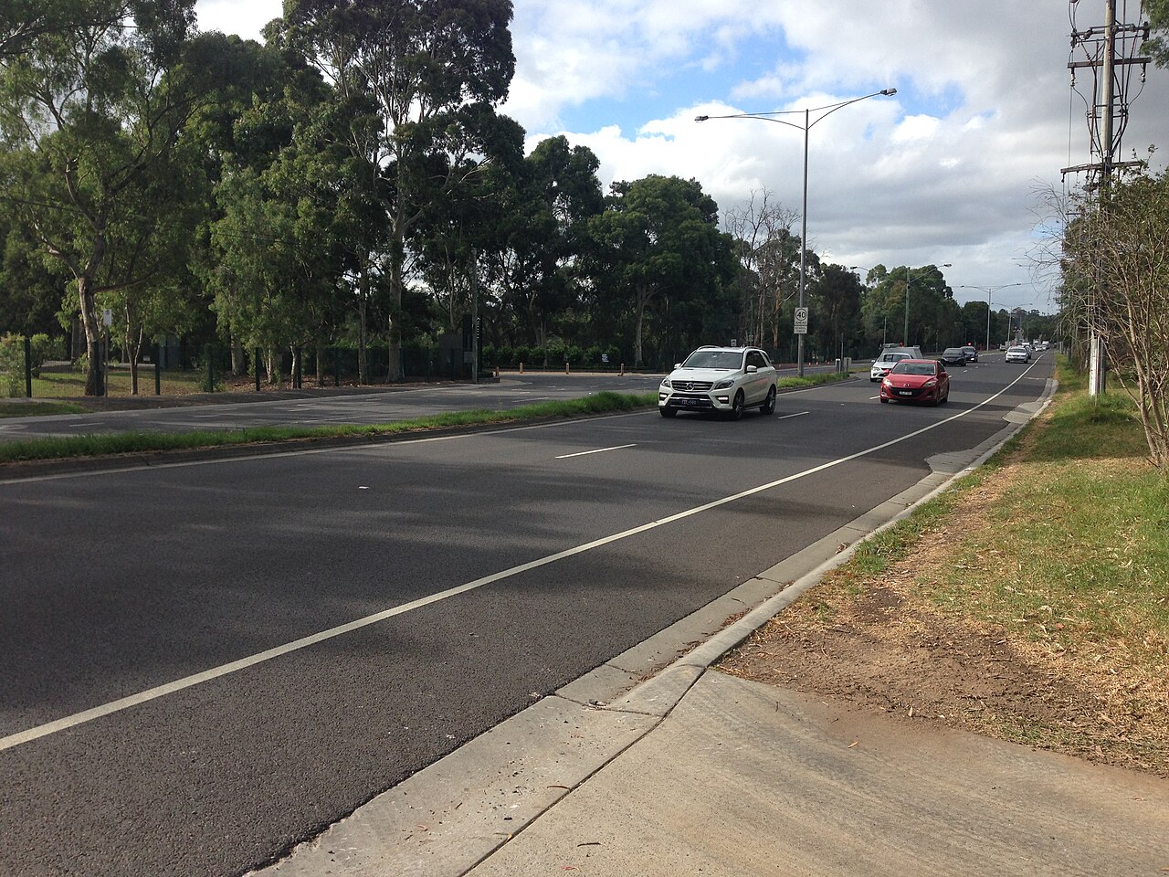 Bulleen Road lined with trees