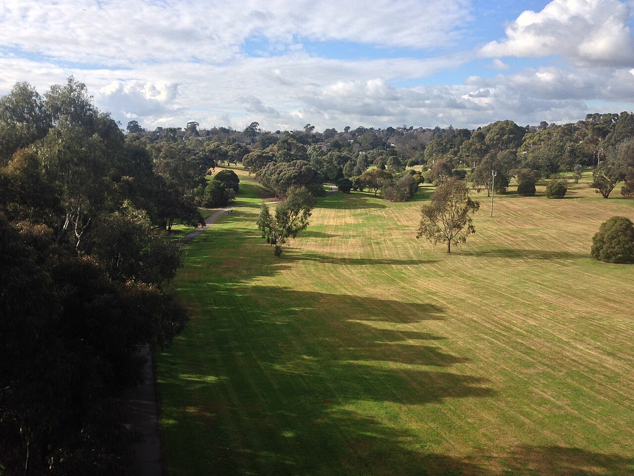 Wide grassy Burke Road Reserve, Kew East
