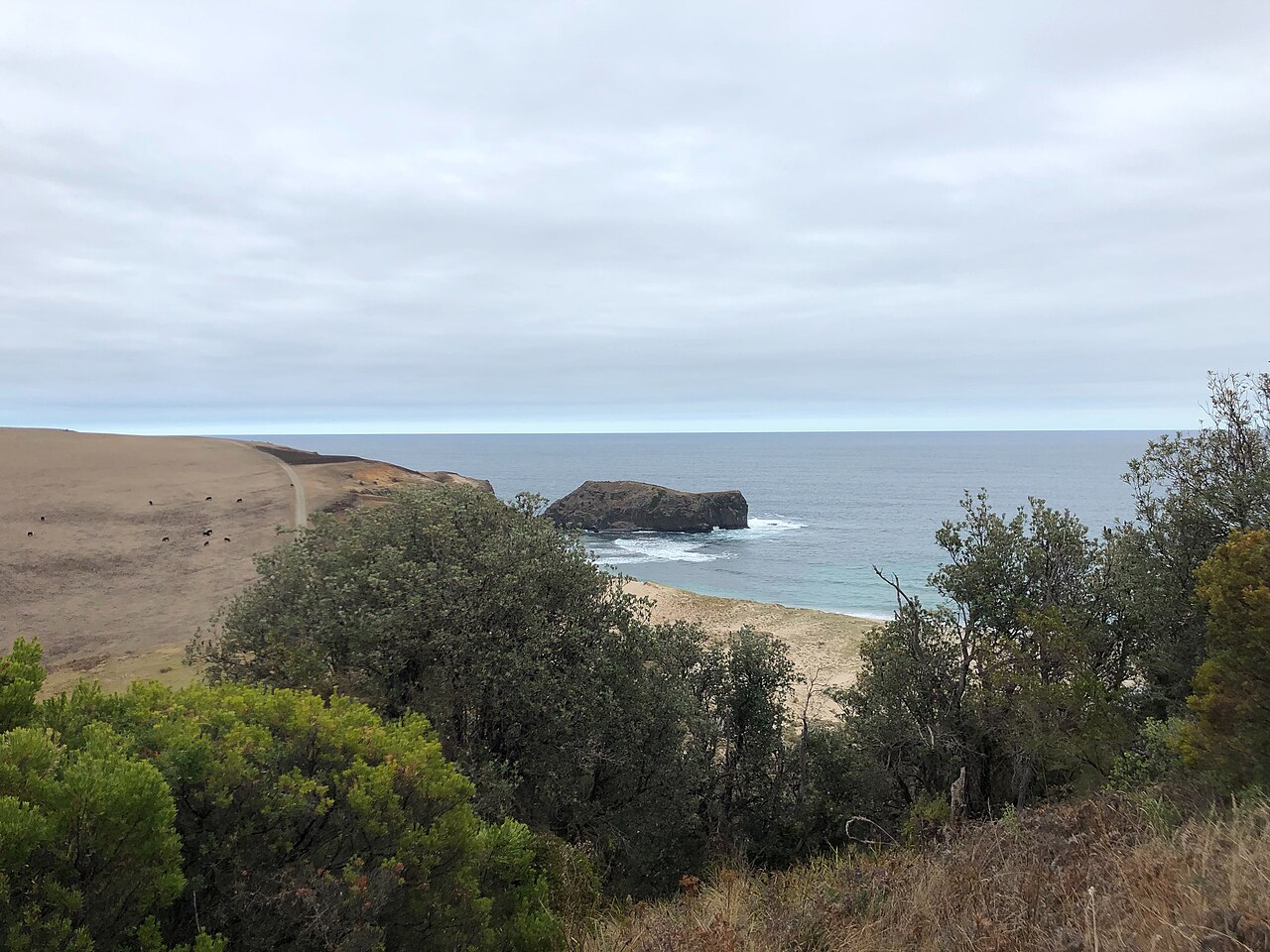 Bushrangers Bay on the Mornington Peninsula