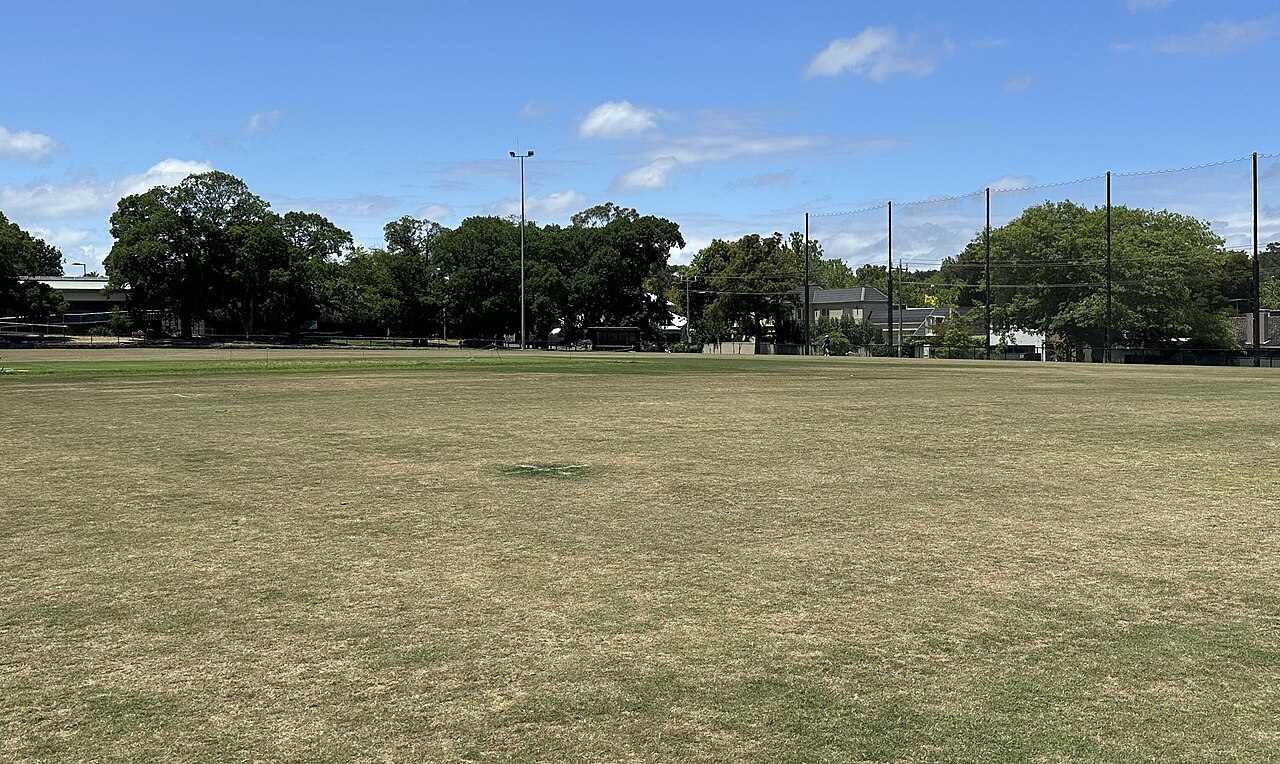 Canterbury Sports Ground playing field