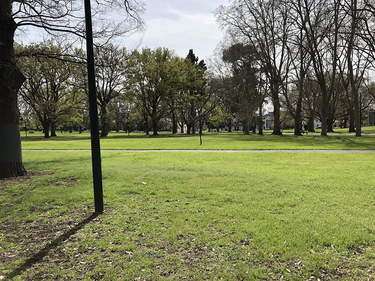 Lawns and trees in Carlton Gardens