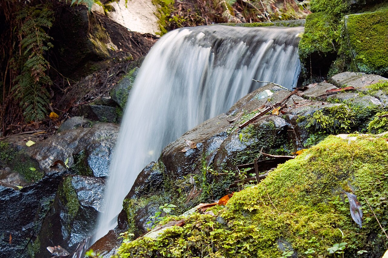 Cascade at Sherbrook Falls