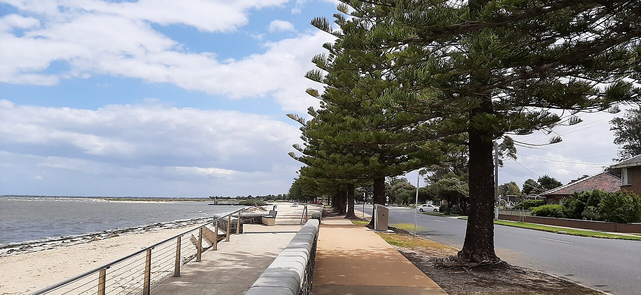 Foreshore path beside the bay lined with tall pines