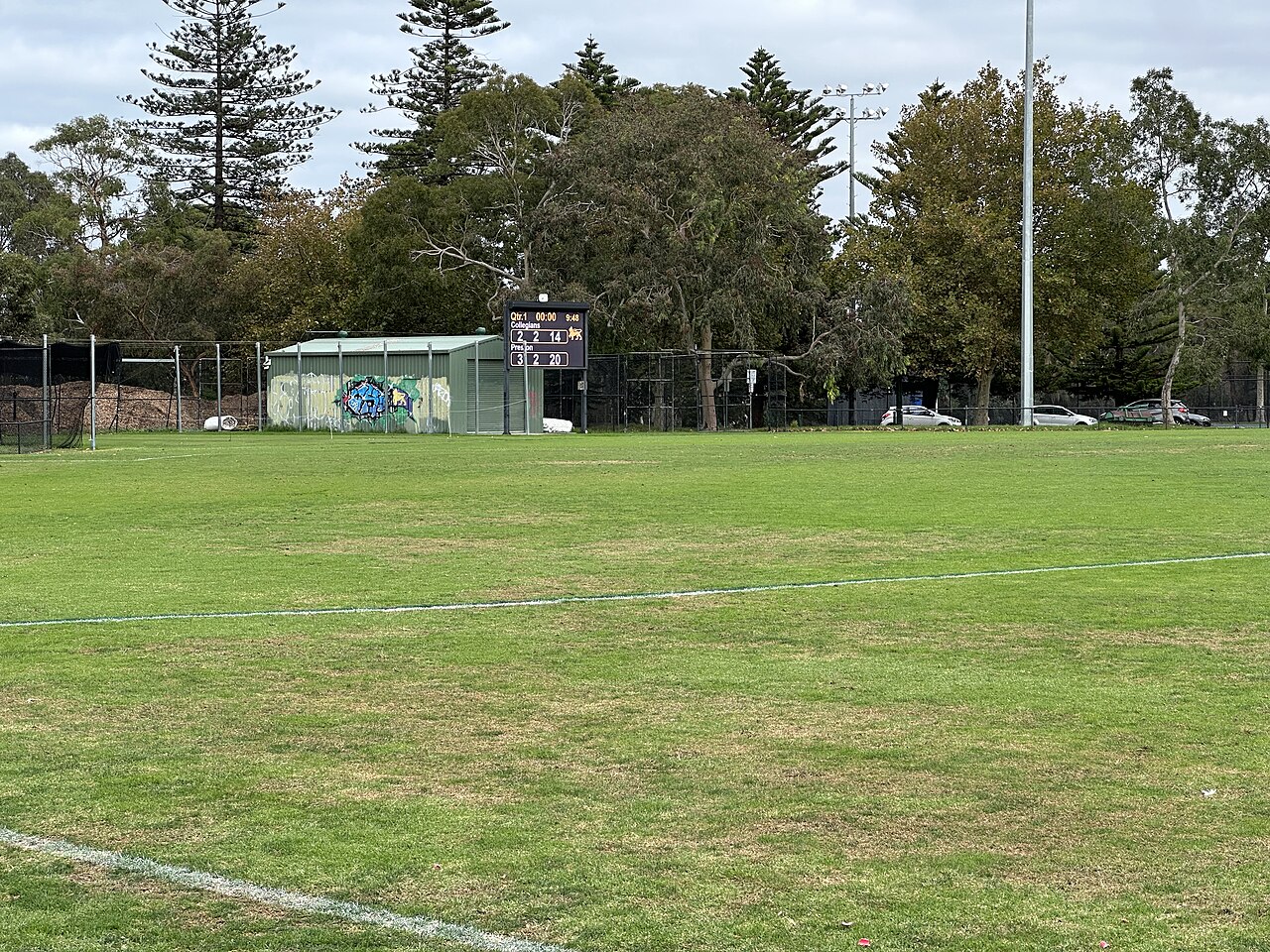 Grassed sports oval edged with tall trees
