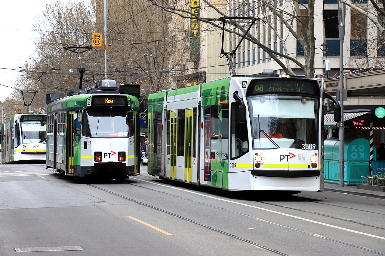 D1 class trams in PTV livery on a tree-lined road