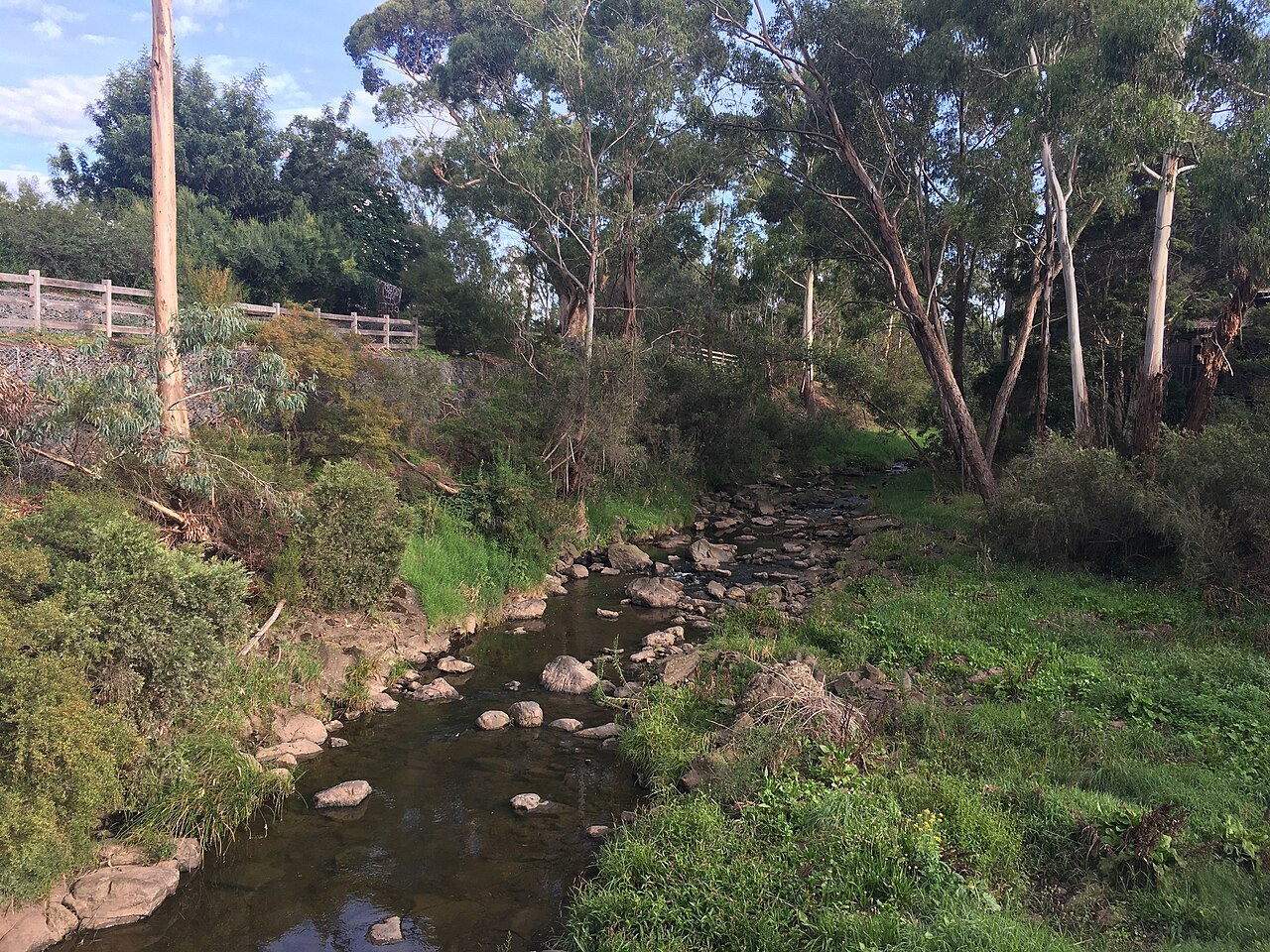 Darebin Creek near Donaldson Creek