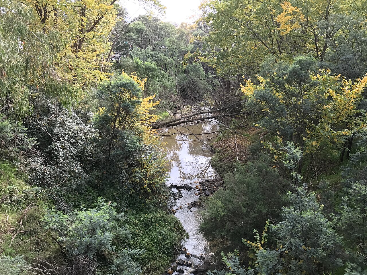 Bush-lined creek bed with autumn foliage