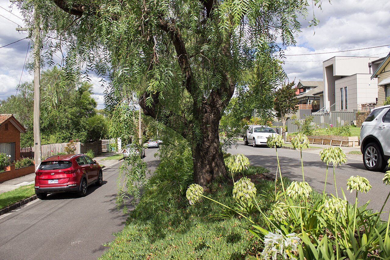 Divided road at Kellett Grove, Kew, with garden plantings