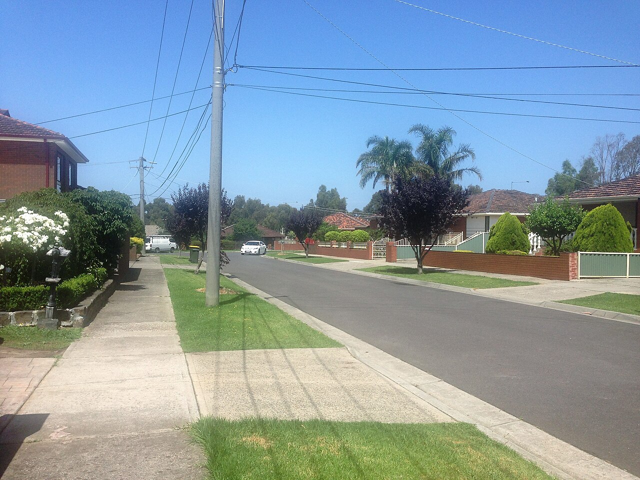 Quiet residential street with front lawns and palm trees, Earlwood Court, Thomastown