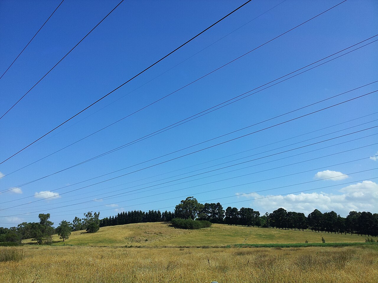 Rolling green hills and trees under a clear blue sky