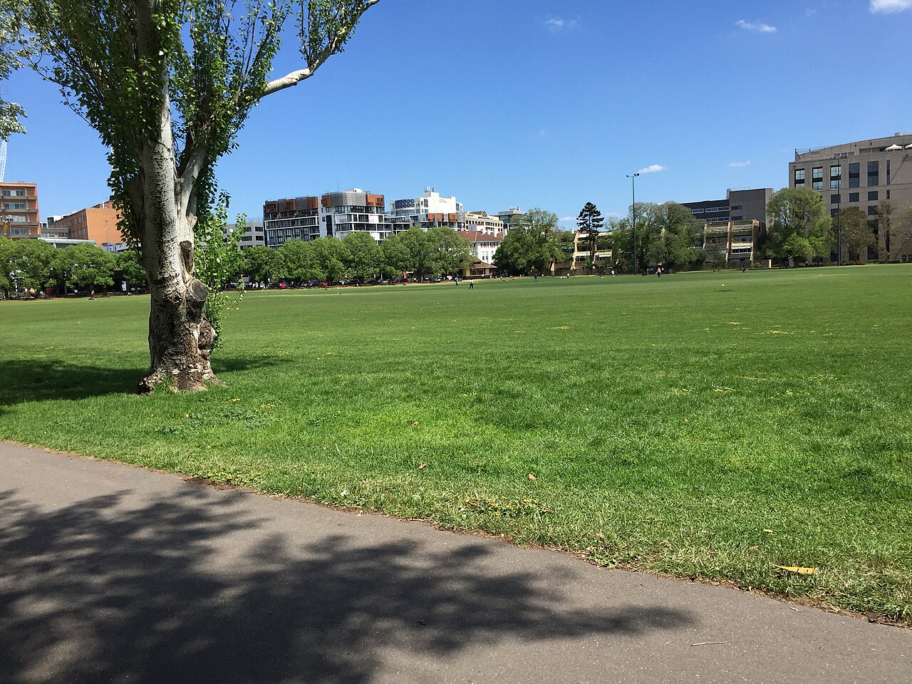 Open lawn in Fawkner Park