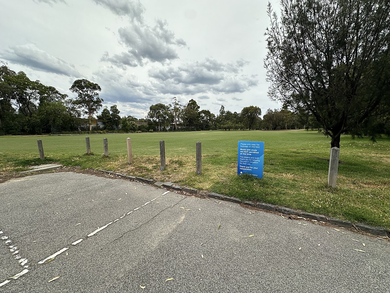 Open grass at Ferrie Oval