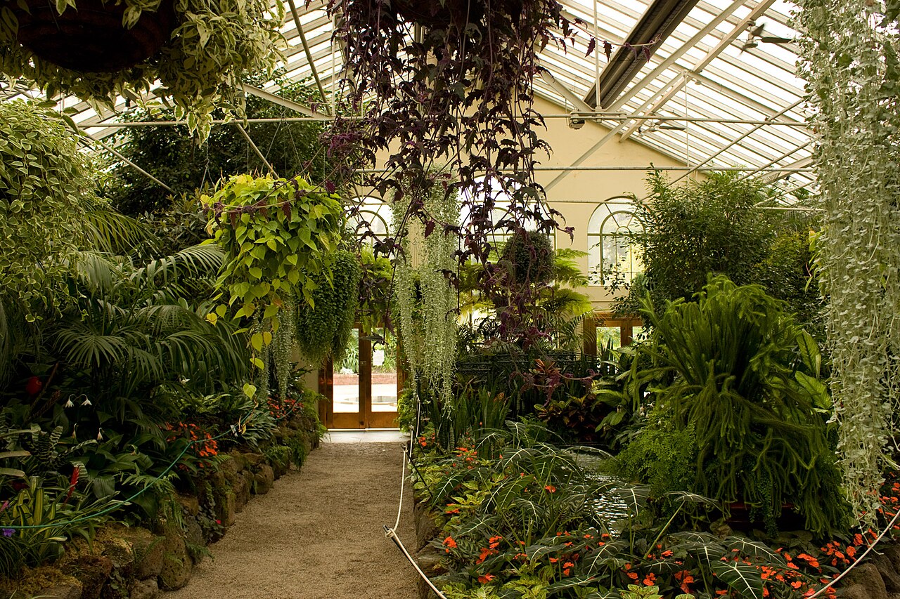Inside the Fitzroy Gardens Conservatory, Melbourne