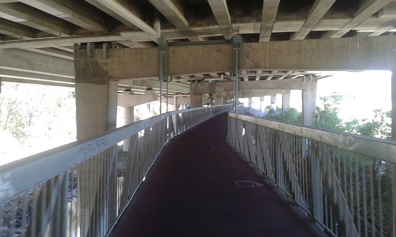 Gardiners Creek Trail under CityLink