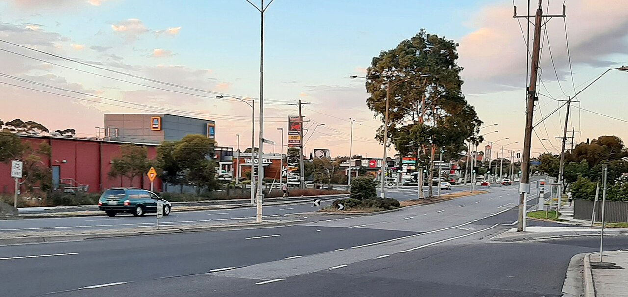 Wide suburban road with street lights and gum trees