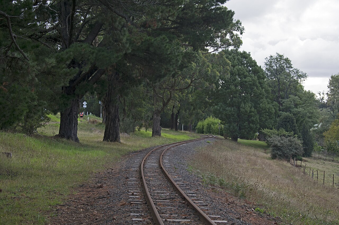 Puffing Billy railway line through trees at Gembrook
