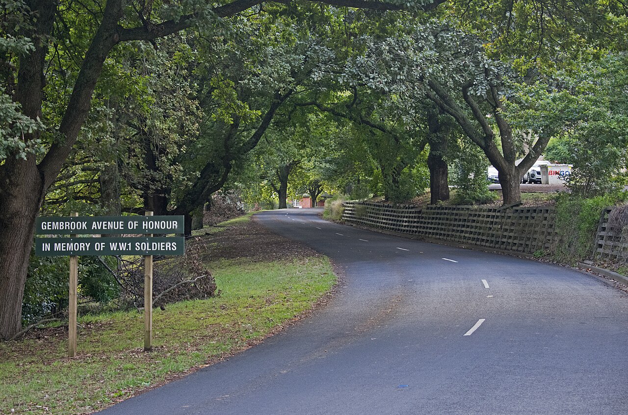 Redwood Road in Gembrook, seen from Remembrance Park