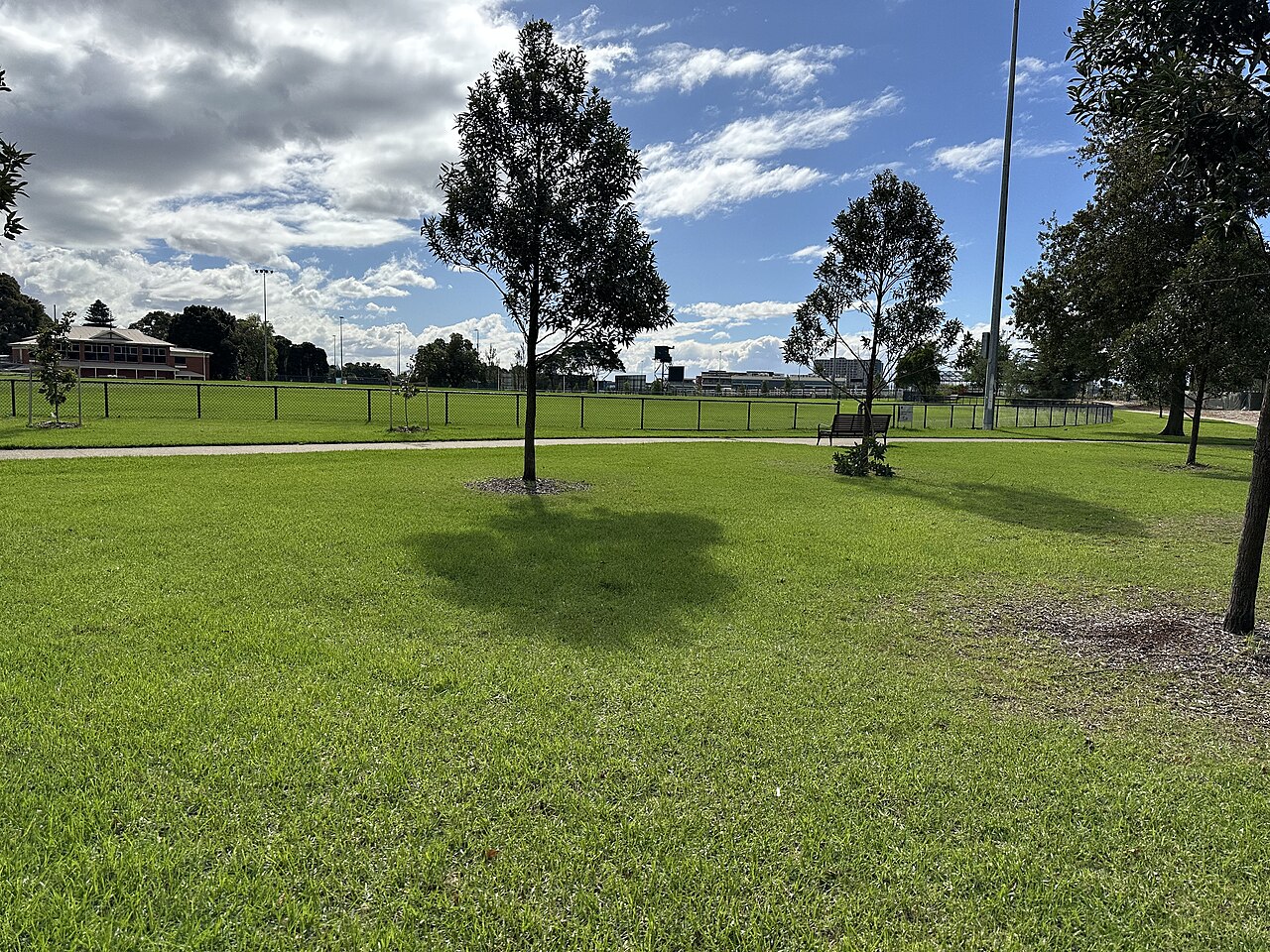 Trees on the lawn at Glen Huntly Park