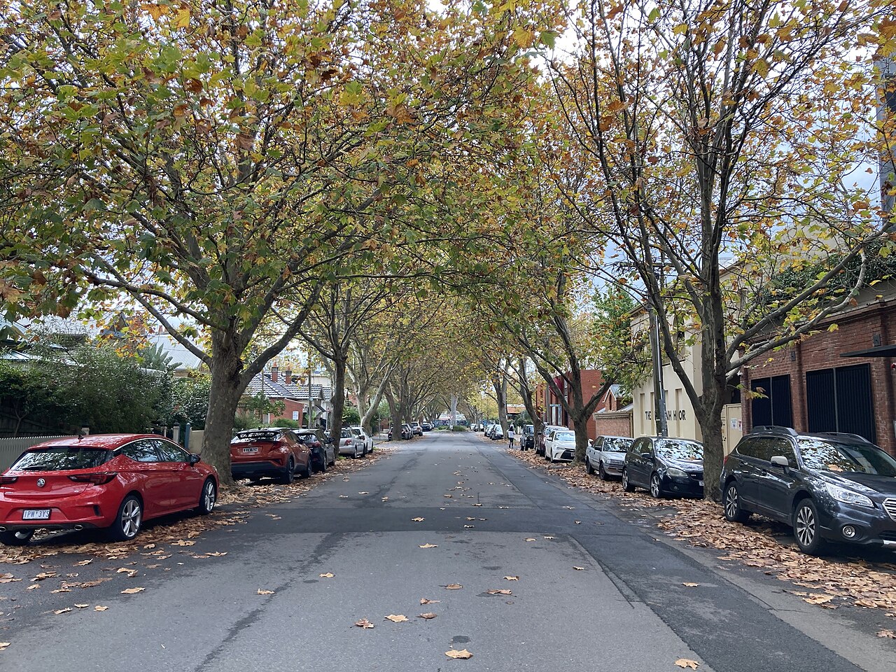Gore Street, Fitzroy, lined with autumn trees
